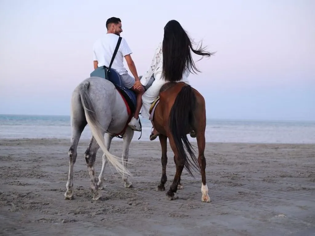 Horseback Riding Tours in Hurghada horseback-riding-tours-in-hurghada/39_(1).jpg