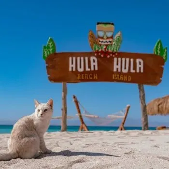 Hula Hula Full-Day