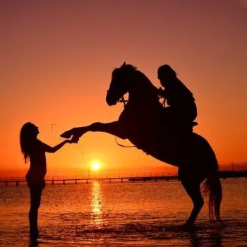 Horseback Riding Tours in Hurghada