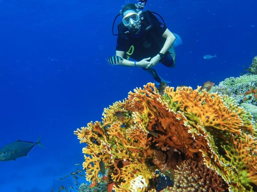 Open Water PADI Diving Course 3 Days open-water-padi-diving-course-3-days/11.jpg