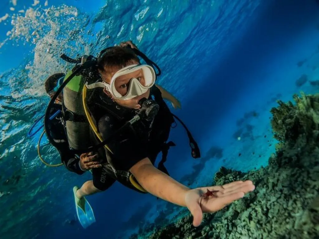 Open Water PADI Diving Course 3 Days open-water-padi-diving-course-3-days/21.jpg